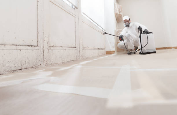 24/7 Emergency Black Mold Remediation experts in Alexandria, VA
