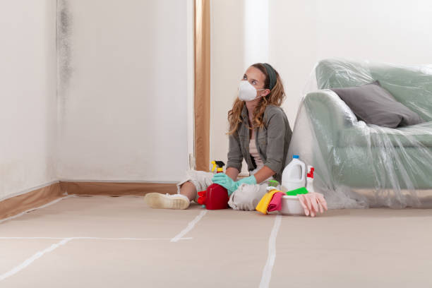 Reliable Black Mold Remediation contractor in Alexandria, VA by Car Mold Remediation